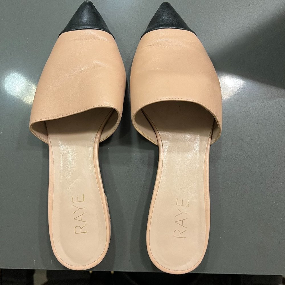 Raye Slides - image 1